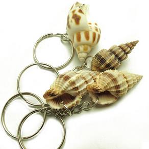 文悟天然海螺贝壳小挂件 DIY挂件钥匙扣链 创意礼物